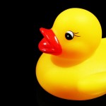 Golden Duck