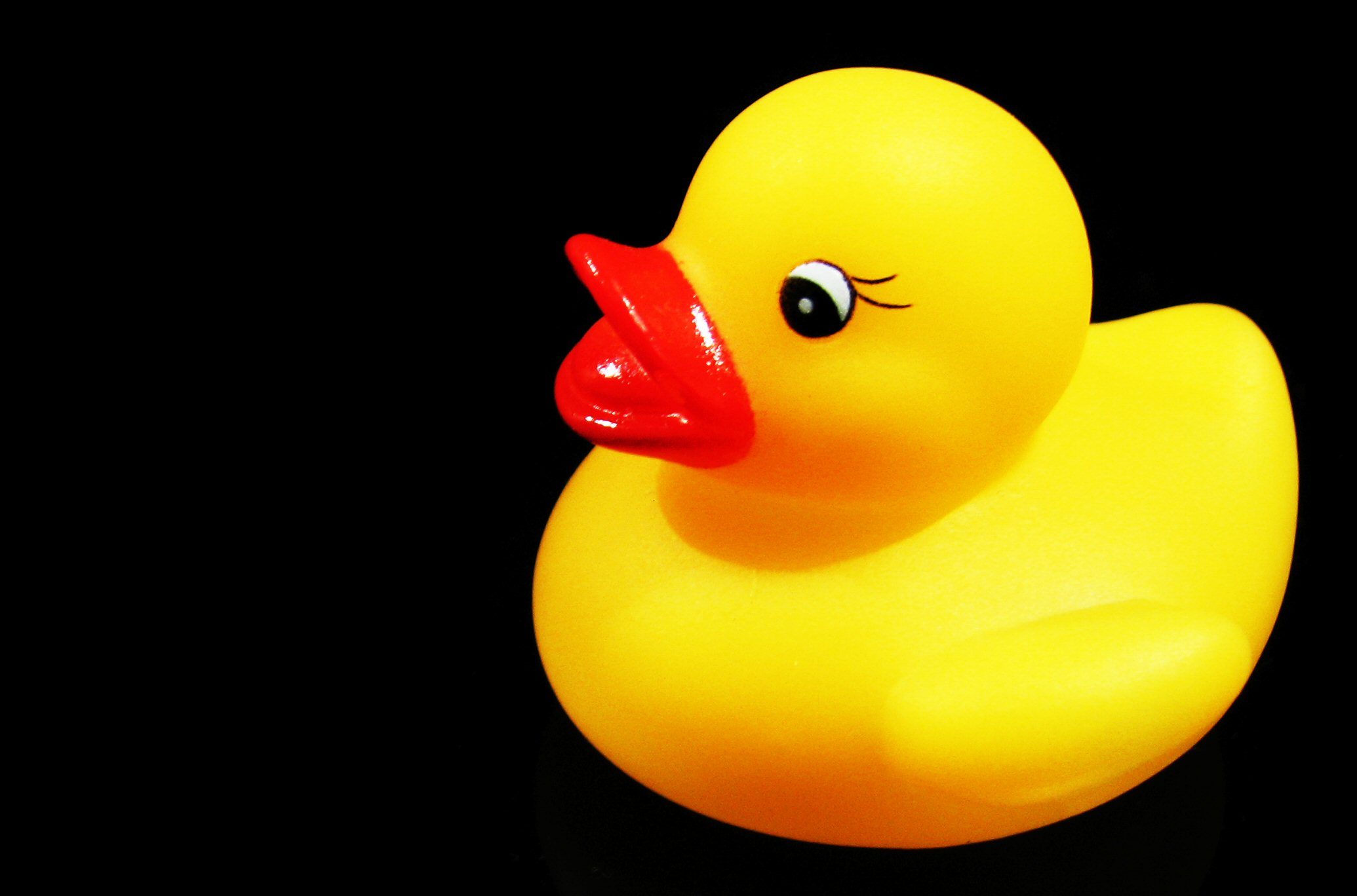 The Golden Duck – Good Thinking Society